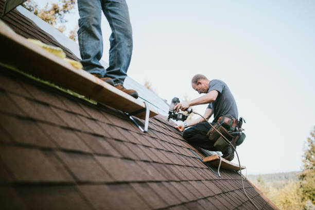 Best Roof Gutter Cleaning  in Highlandville, MO